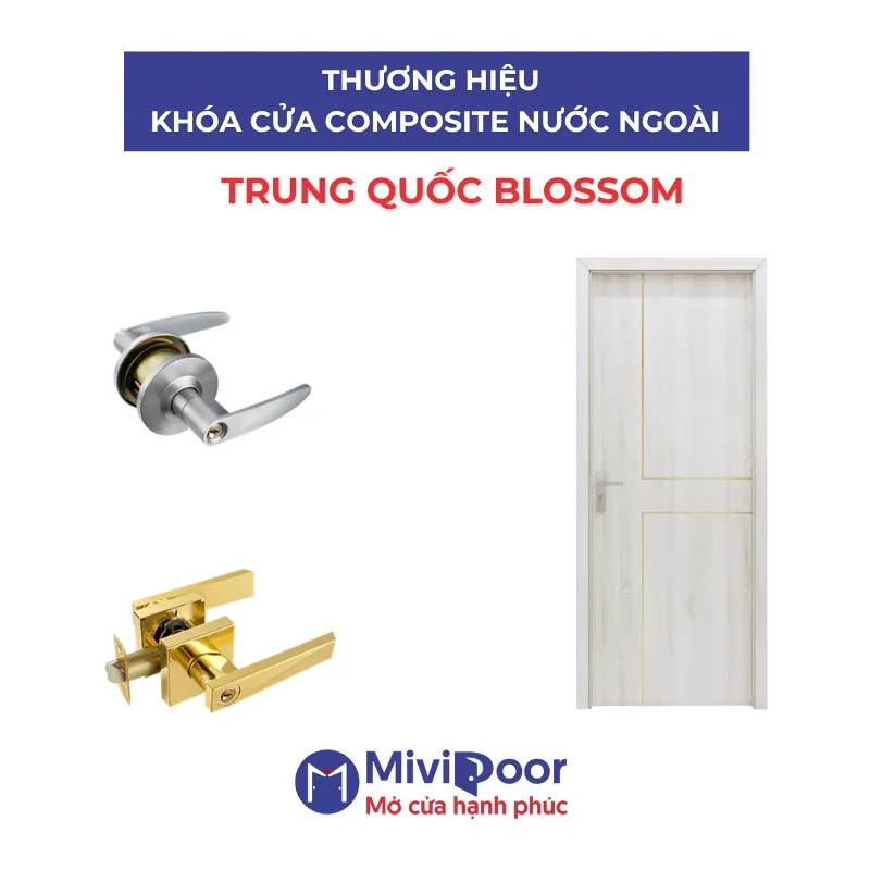Thương hiệu khóa cửa composite 